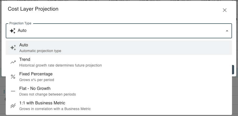 Projection Type Options